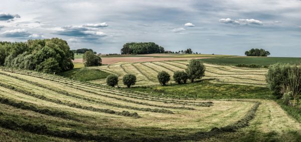 Pajottenlandbeeld scaled