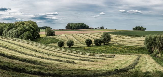 Pajottenlandbeeld scaled